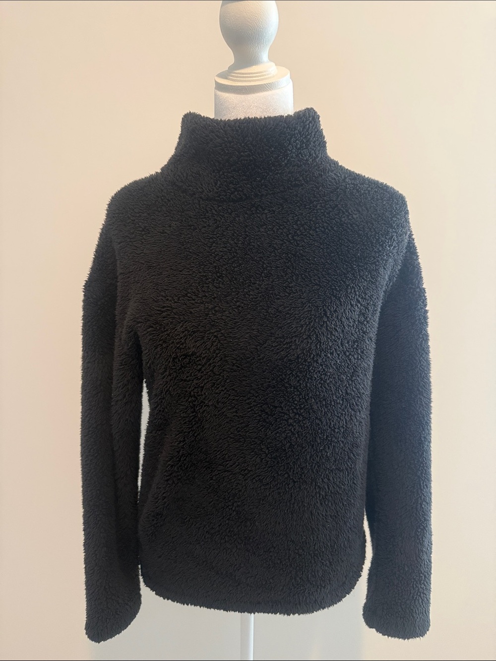 Cozy Plush Turtleneck Sweater in Black